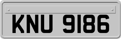 KNU9186