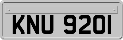 KNU9201