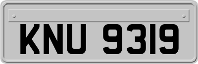 KNU9319