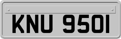 KNU9501