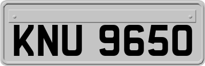 KNU9650