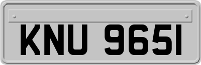 KNU9651