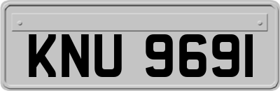 KNU9691