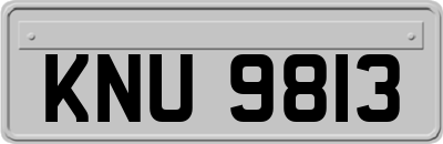 KNU9813