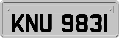 KNU9831