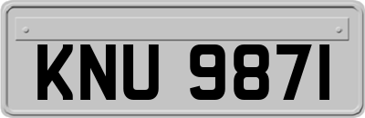 KNU9871