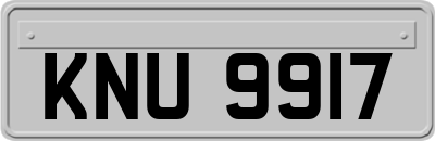 KNU9917
