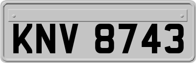 KNV8743