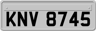 KNV8745