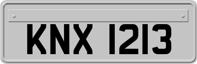 KNX1213
