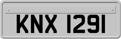 KNX1291