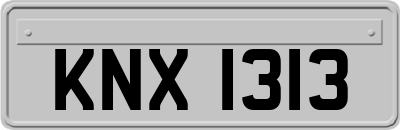 KNX1313