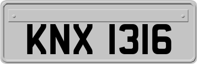 KNX1316
