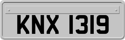 KNX1319