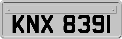 KNX8391