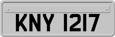 KNY1217