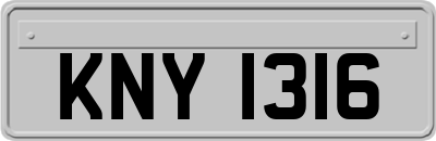 KNY1316