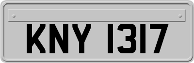 KNY1317