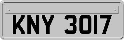 KNY3017