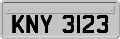 KNY3123