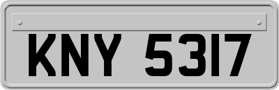KNY5317