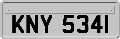 KNY5341