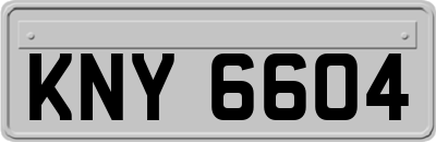 KNY6604