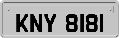 KNY8181