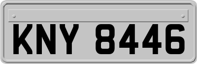 KNY8446