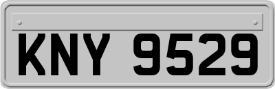 KNY9529