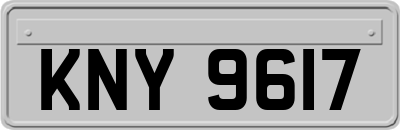 KNY9617