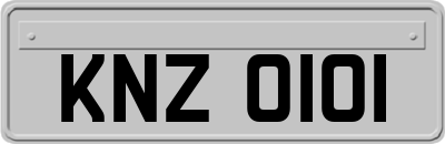 KNZ0101