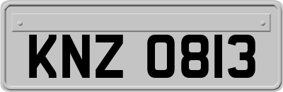 KNZ0813