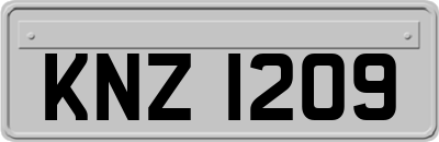 KNZ1209