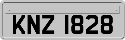 KNZ1828