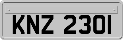 KNZ2301