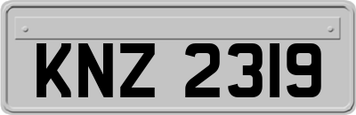 KNZ2319