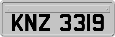 KNZ3319