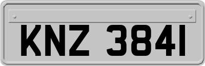 KNZ3841