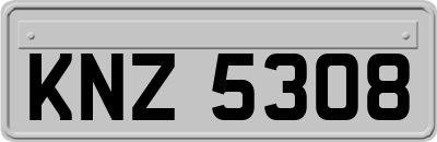 KNZ5308