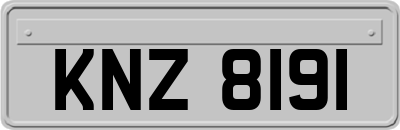 KNZ8191