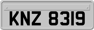 KNZ8319