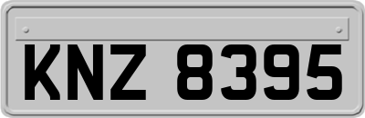 KNZ8395