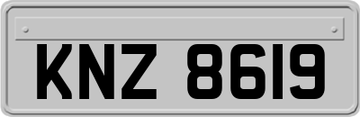 KNZ8619