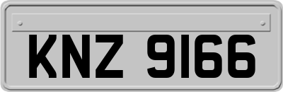 KNZ9166