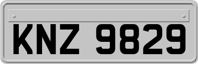KNZ9829