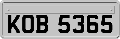 KOB5365