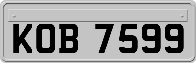 KOB7599
