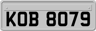 KOB8079