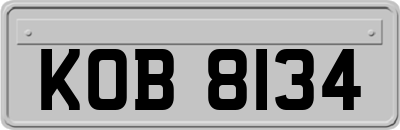 KOB8134